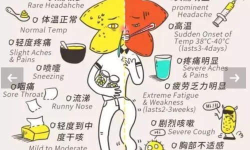 海龙中药材-中药海龙质保期网 - 中药海龙,中药海龙质保期多长时间