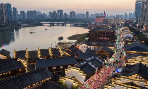 海龙中药材-中药海龙质保期网 - 中药海龙,中药海龙质保期多长时间